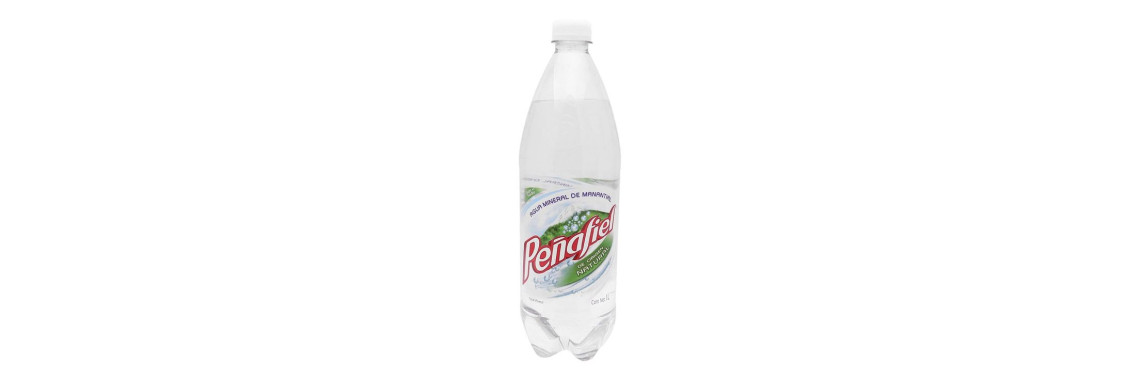 agua mineral Peñafiel 600ml botella