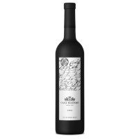 Vino Casa Madero Shiraz 750ml Valle de Parras Tinto Mexicano Premium